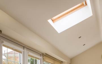 Ellishadder conservatory roof insulation companies