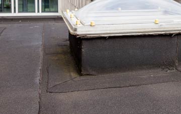 disadvantages of Ellishadder flat roofs
