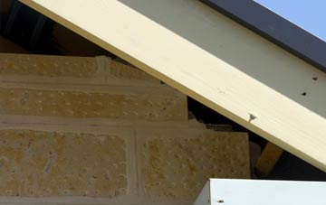 soffit repair Ellishadder